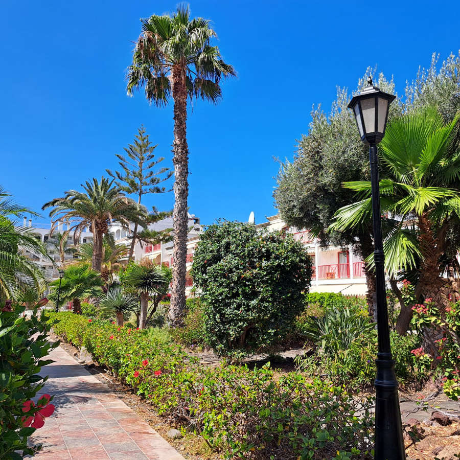 casa-ave-playa-del-cura-16