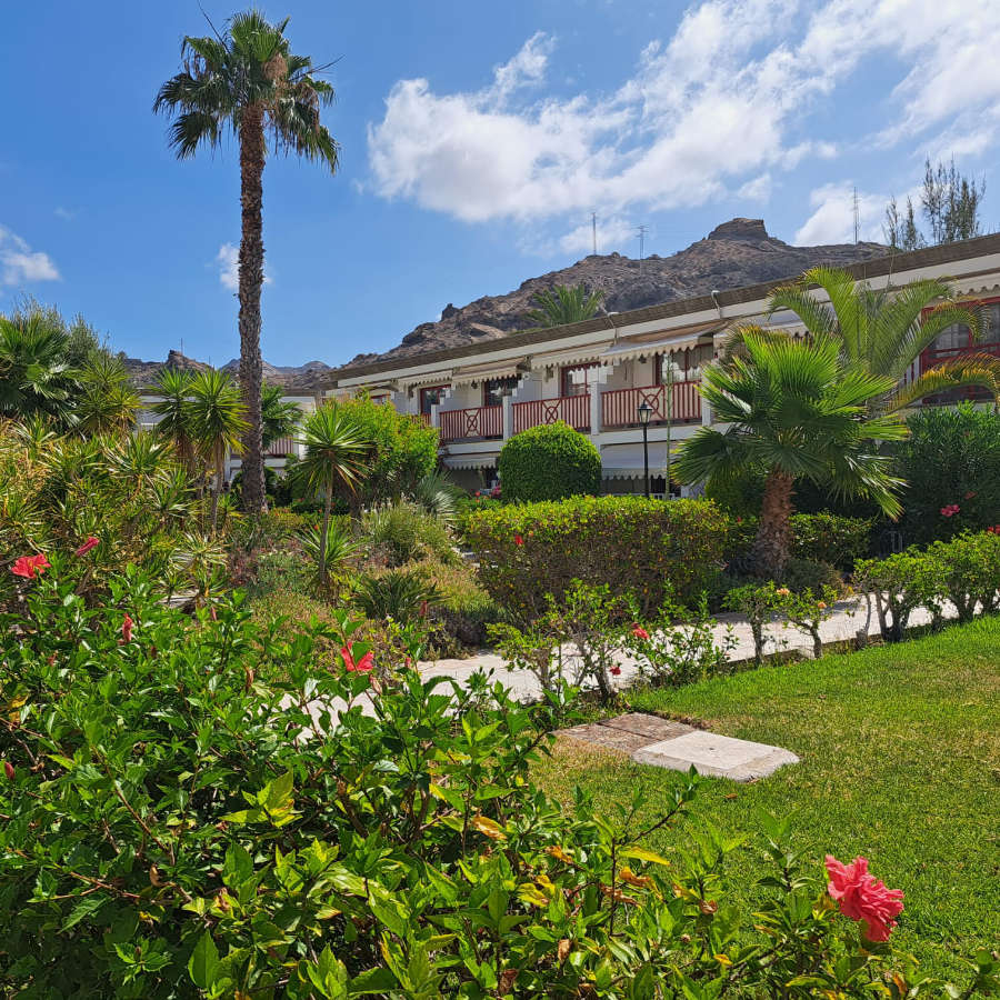 casa-ave-playa-del-cura-19